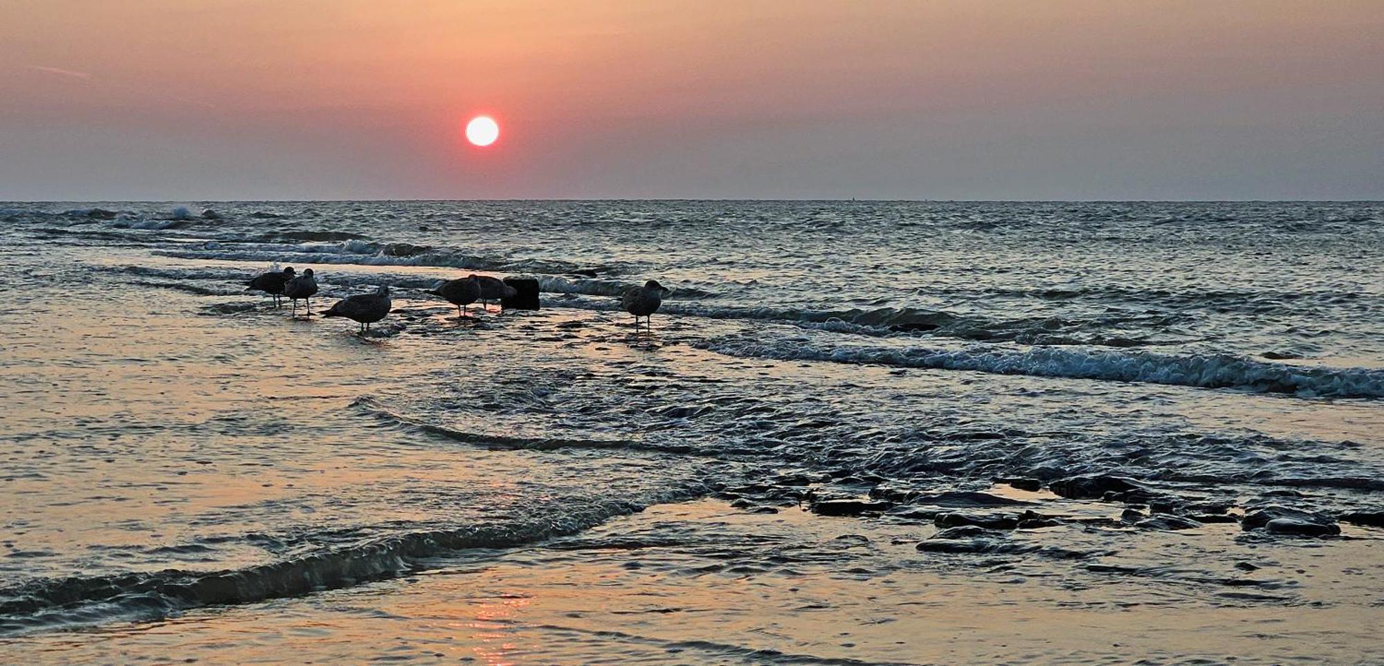 Zanddijk 113, Julianadorp Aan Zee Luaran gambar